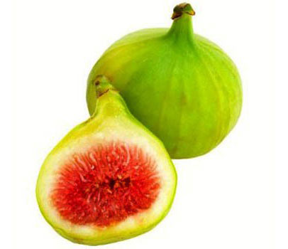 نهال انجیر خشکباری